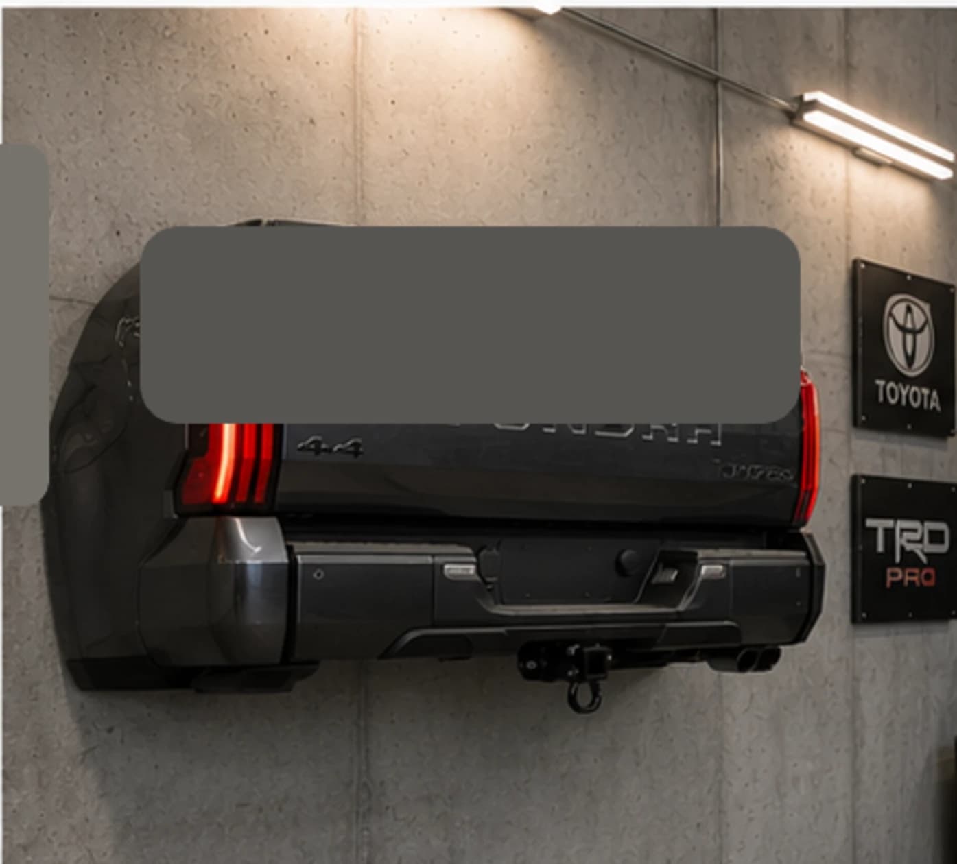 Graphite Pro Rearform wall sculpture